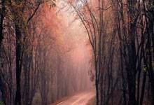 上海上港在主场击败河南建业，积分榜上升