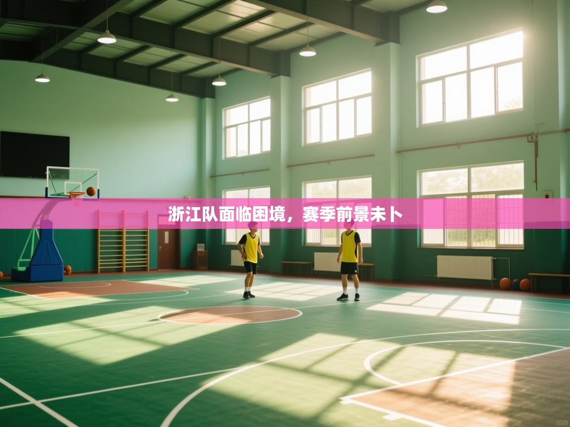 浙江队面临困境,赛季前景未卜 第2张
