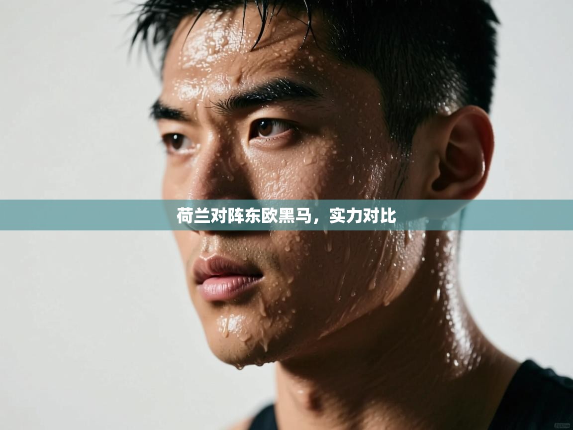 荷兰对阵东欧黑马，实力对比  第2张