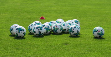 开云体育下摘-沃尔夫斯堡青训培养新秀，被看好成为未来核心，沃尔夫斯堡俱乐部